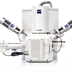 Microscopes électroniques à balayage